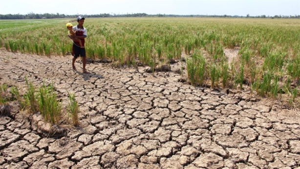 Côn Đảo và bài toán nước ngọt cho vùng mặn ĐBSCL