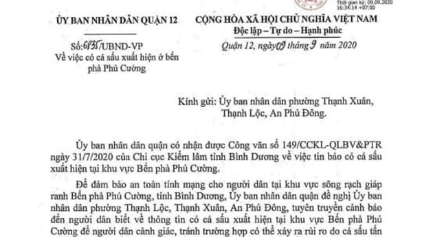 Quận 12 cảnh báo có cá sấu: Người lái đò thấy gì?